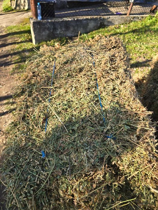 Vand baloti de lucerna si fan