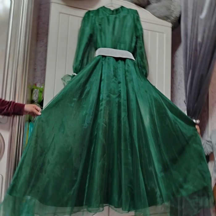 Vechirni arganza koyne