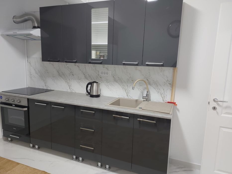 Chirie Vișan, Iași