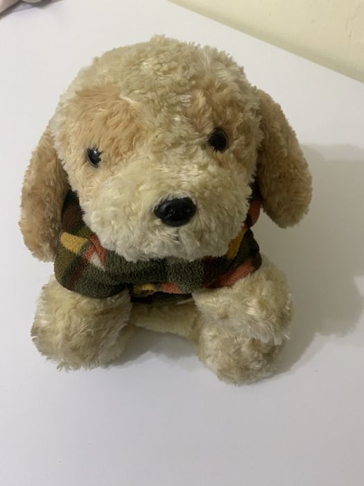 Сумка -игрушка . Anypet.