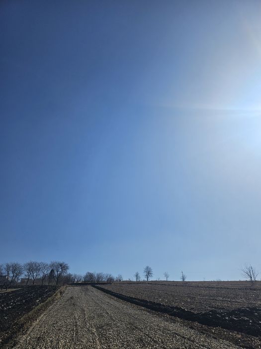 Teren Sf. Ilie Intravilan