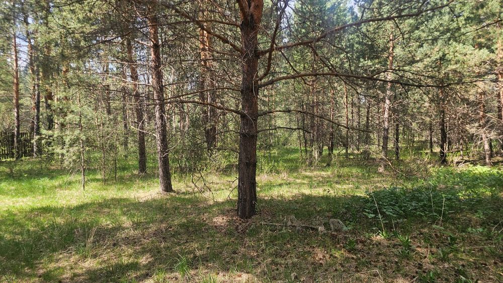 Земельный участок