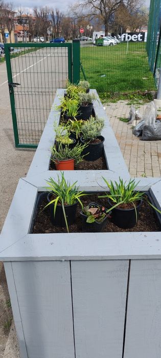 Градинарски услуги и аранжиране на градини с отношение към клиента