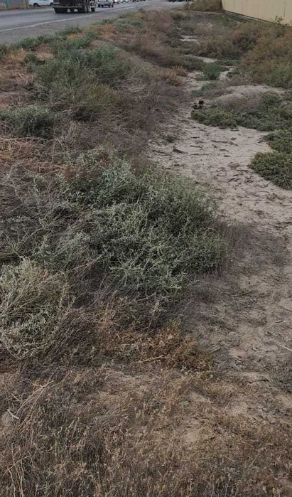 Строительные отходы