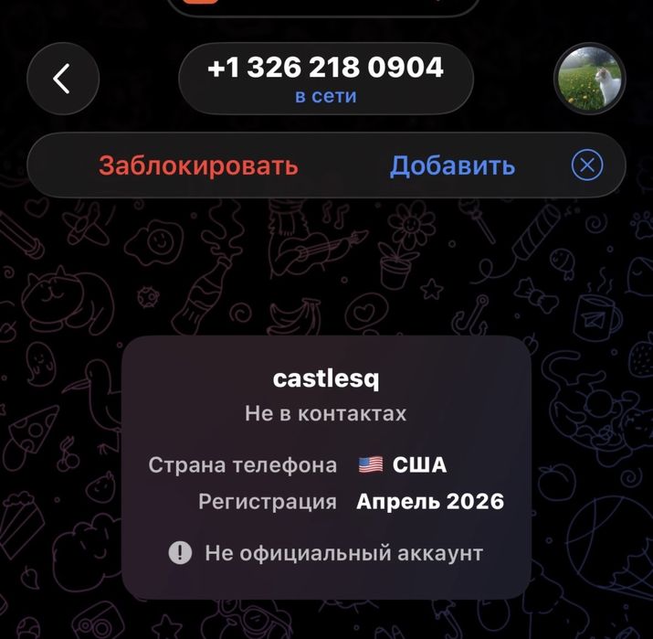 телеграмм аккаунт сша