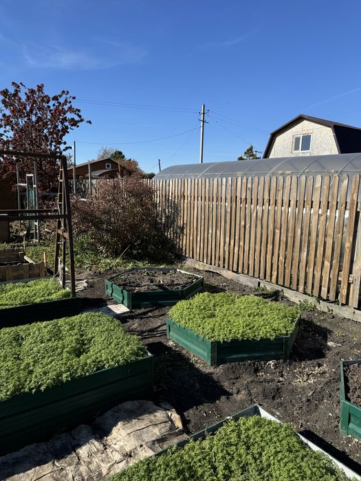 Продам дачу общество Вишенка / Гудок