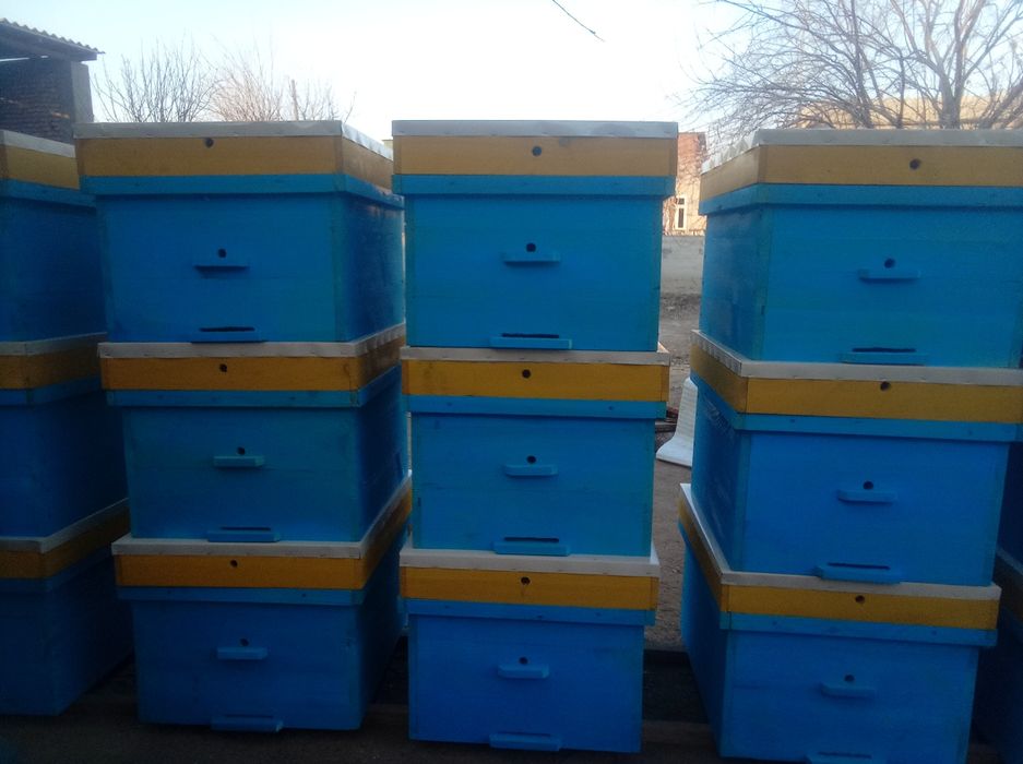 асалари.яшиклари