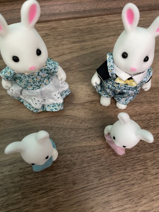 Семейство зайчета