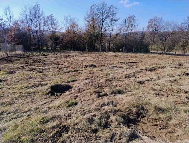 Продава се Парцел в с. Дръмша, Област София-област - 1000 кв.м за 55 €/кв.м - Снимка #4