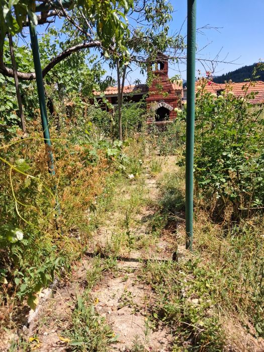 Продава се Къща в с. Вълчан дол, Област Смолян - 100 кв.м за 351 €/кв.м - Снимка #13