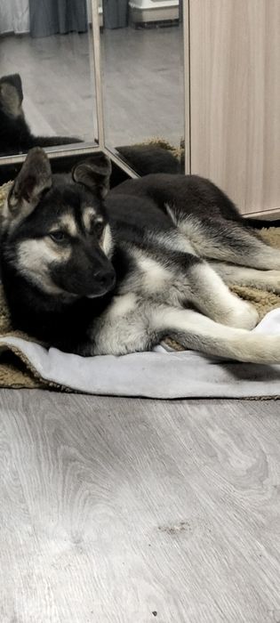 Пацан в добрые, надёжные руки!!!