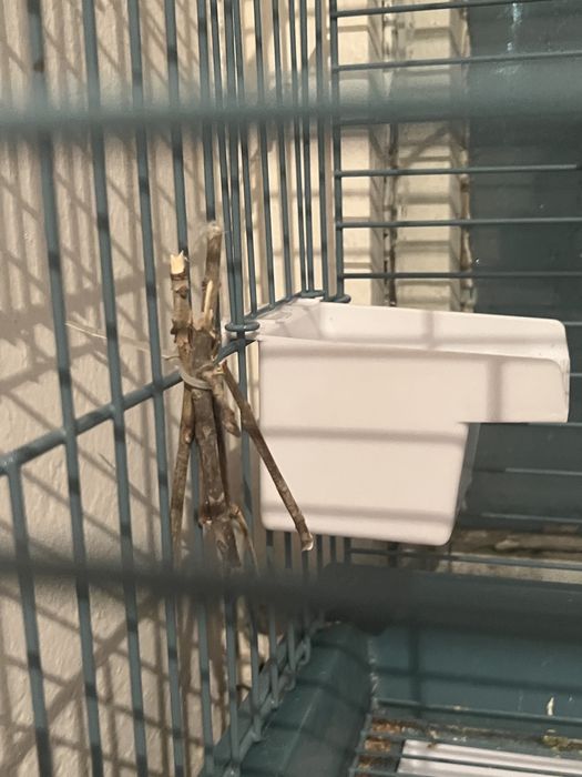 Продаю клетку для попугаев