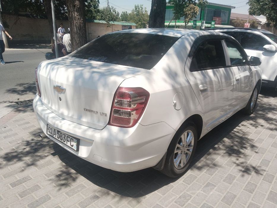 Cobalt 2023 Toza