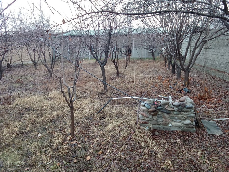 Барданкуль да 8 сот. ер