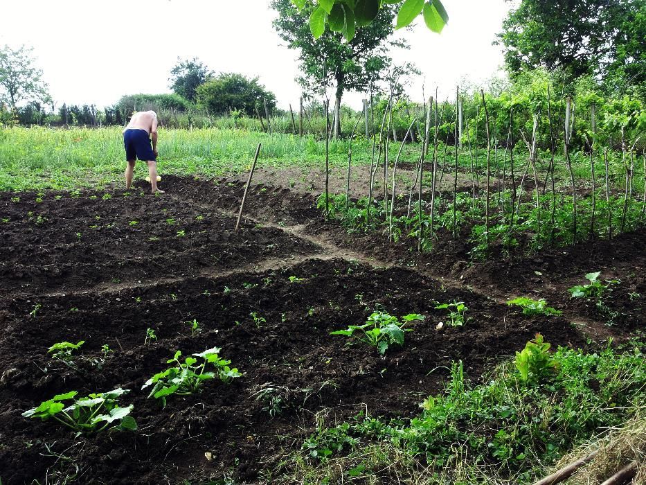 Продава се Къща в с. Черни връх, Област Бургас - 9 кв.м за 4111 €/кв.м - Снимка #2