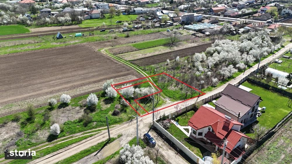 Tartasesti, lot 801 mp!