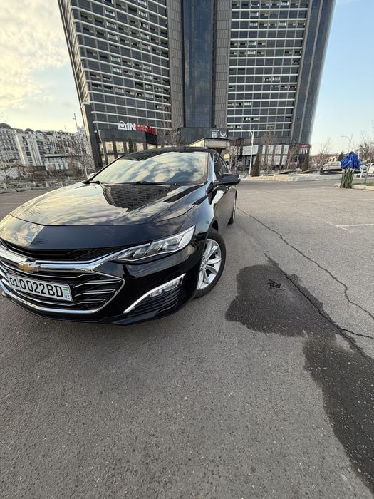 malibu primyer qilingan