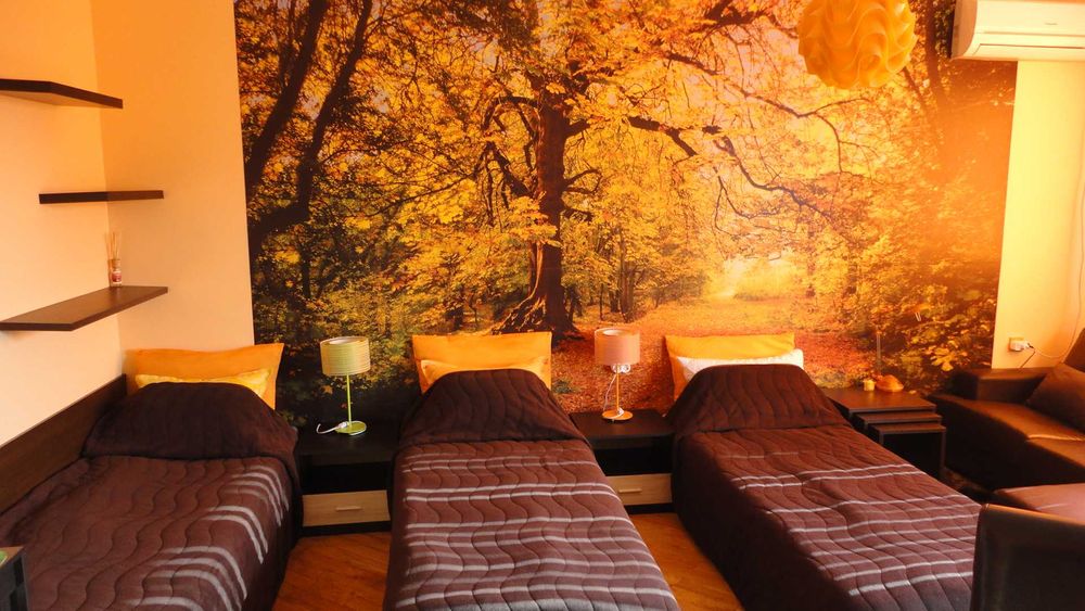 Студио 30 евро (за цялото студио) център до автогара "Юг"