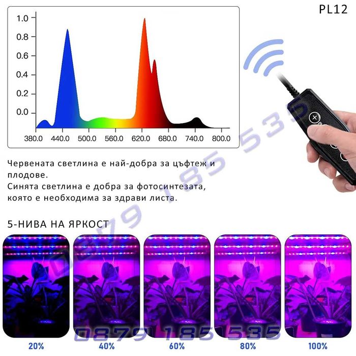 Фито лампи отглеждане растеж цъфтеж стайни растения разсад осветление