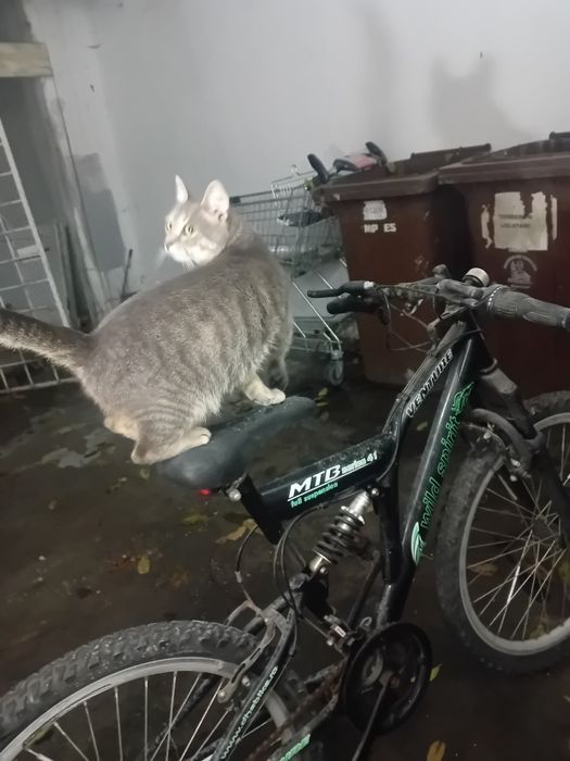 bicicletă MTB (mountain bike full suspention