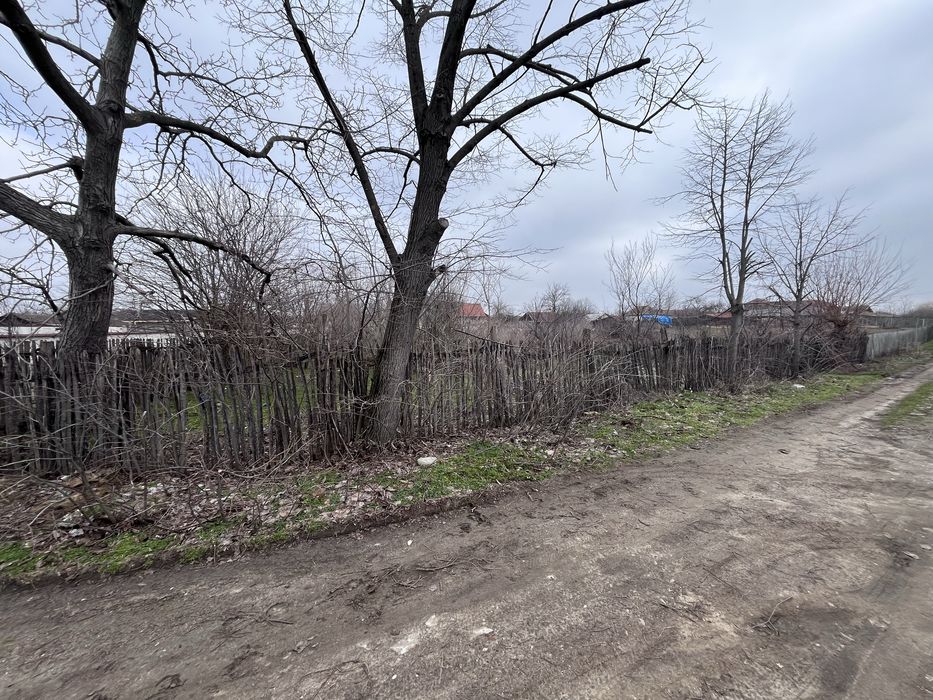 Teren com Jiana sat Danceu