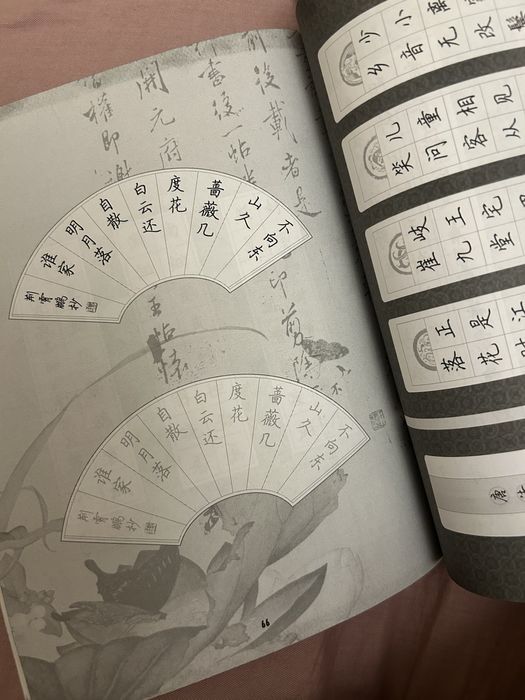 Прописи китайских иероглифов 2 штуки