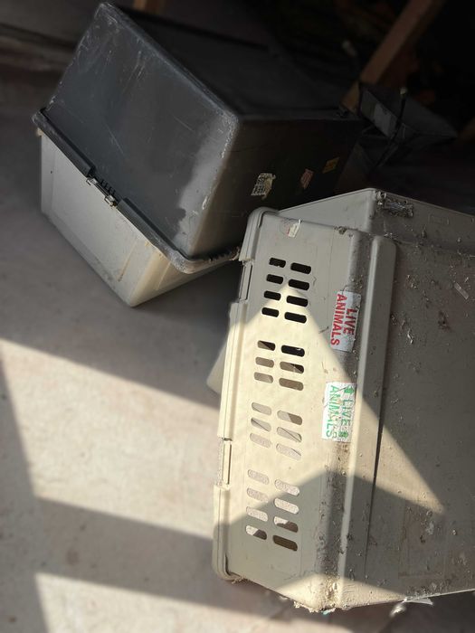 Големи Клетки за кучета XXL