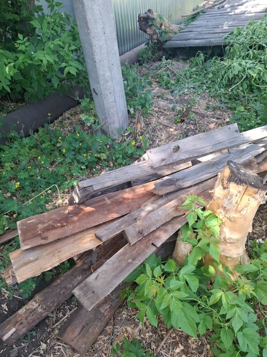 Дрова на зиму бесплатно