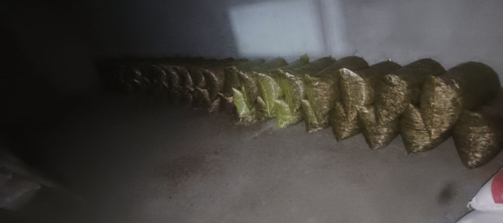 Макка силос сенаж сенаш синаш сенаш маккажўхори ўт беда самон прес