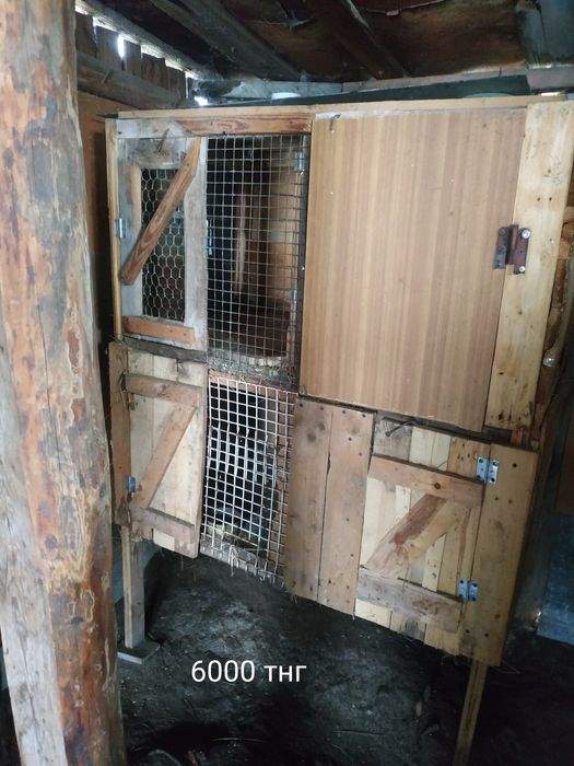 Продам клетки для кроликов