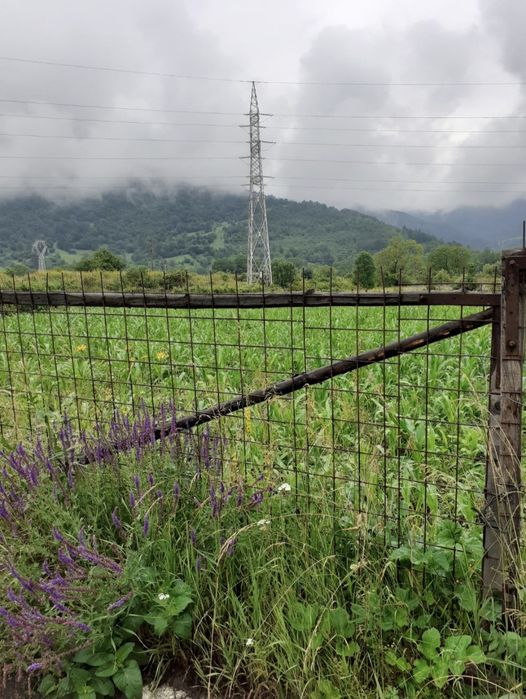 Vând teren intravilan in Stejaru, Pangarati - 1706 mp