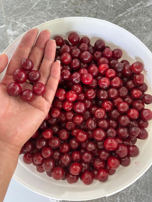 Продается домашняя крупная вишня