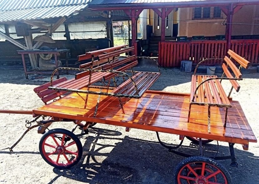 Caleasca/trasura ponei si pentru cai