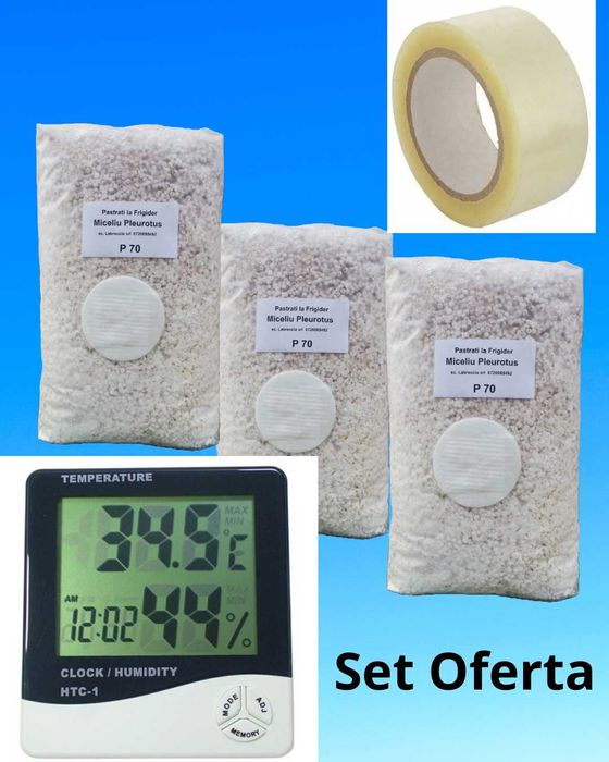 Set 3 pungi Miceliu (samanta) Pleurotus +Termomestru Higrometru+ Bonus