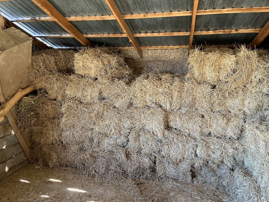 Шөп прес сатылады