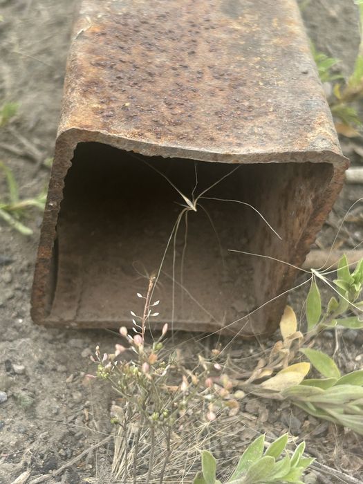 Метал для стойка