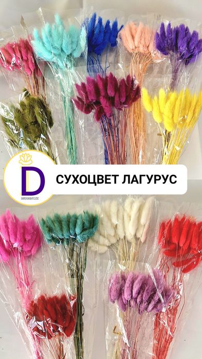 Лагурус сухоцветы