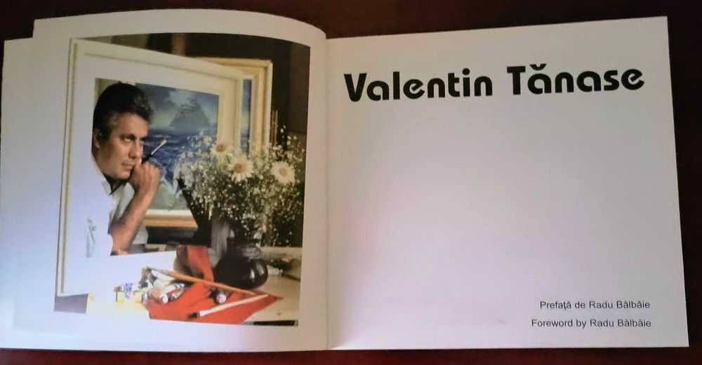 Tablou ulei / Valentin Tanase