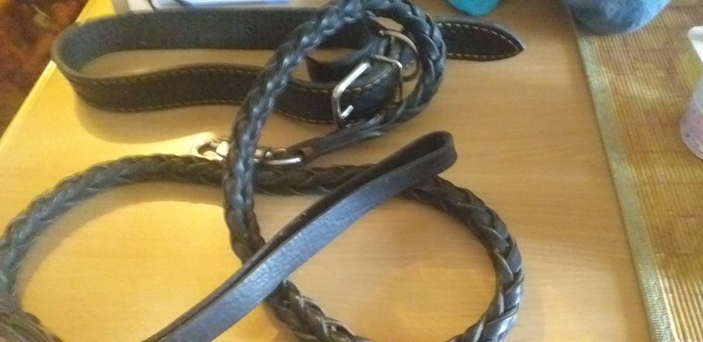 Ошейник для крупной собаки и поводок