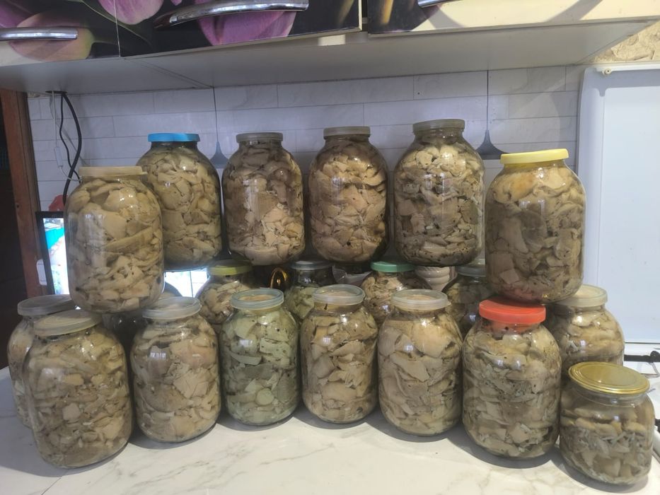 Продам грибы грузди