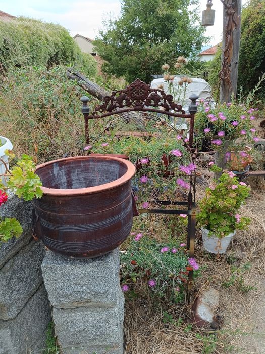 Антики- питуси ,делви,