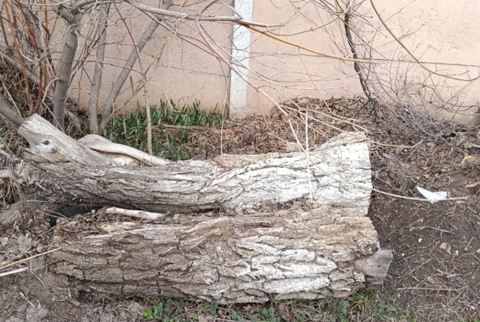 Отдам дрова самовывоз