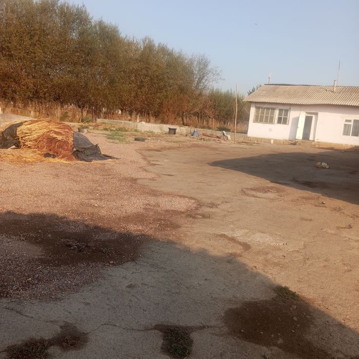 Uchastka ,uy sotiladi.Yashashga 3xona uy,oshxona,molxona ,