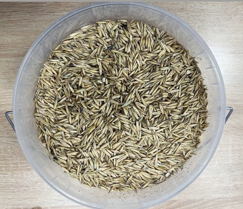 Овёс от производителя