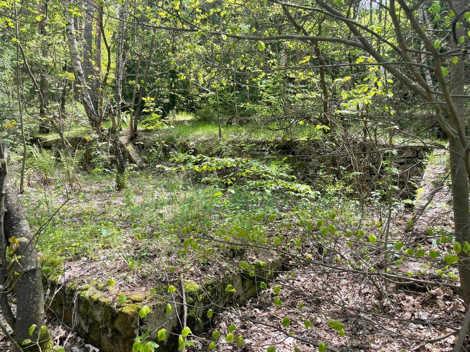 Продава се Парцел в Копривщица - 5551 кв.м за 55 €/кв.м - Снимка #11