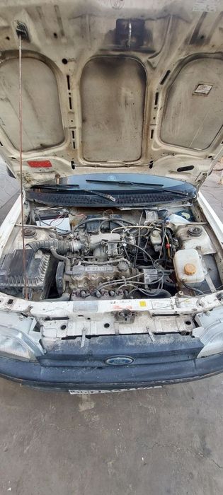 Dakument dan muammo yoq