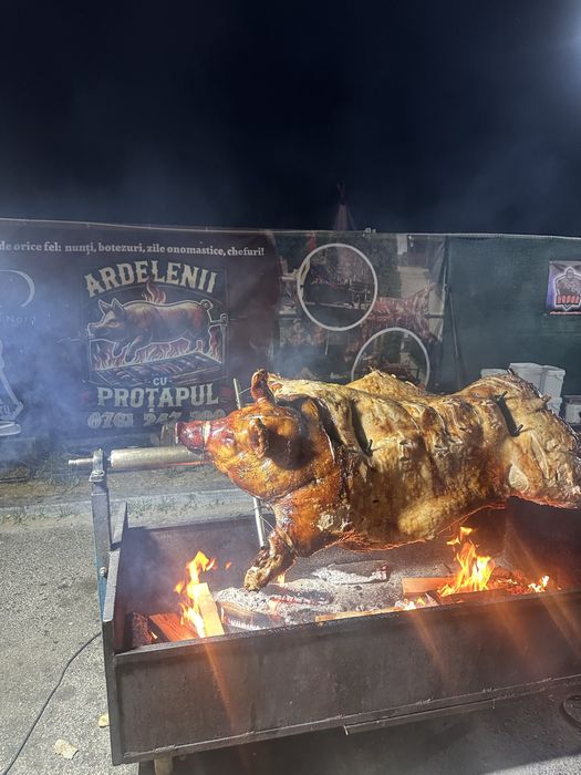 Animale facute la protap ! Ne deplasam in strainatate!