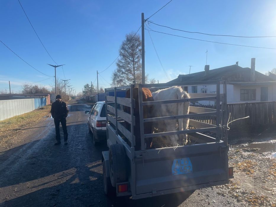 Продам прицеп самодельный