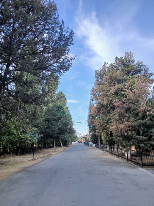 Продаётся дом под снос