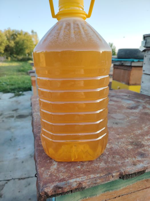 Продам мед разнотравье 2025.